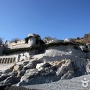 매미농장 이미지