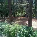 신트리공원(축구장) 이미지