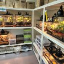 김용수농장 | 다이노마켓을 선택해주셔서 감사합니다!/다이노마켓 후기모음