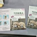 벡스코 동물병원 | [2026 부산 펫앤모어(2026 PET &amp; MORE 반려동물 박람회)] 고양이 집사 기준 후기