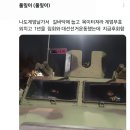 대통령에 의해 의도치 않게 좌표(?)찍히신분 근황 이미지