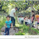 부광농장 이미지