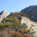 중앙여행행정사사무소 이미지