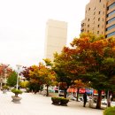 대흥민박 이미지