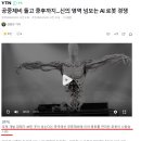 중국 미국 휴머노이드 로봇 발달 근황 미쳤다.. 이미지