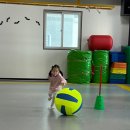 펜타힐즈 태권도장 이미지