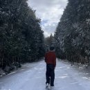 미현목장 | Jeju in January 2) 외국 같았던 제주, 비행기 결항 될 뻔한 썰과 약간의 제주 쇼핑리스트 ❄️