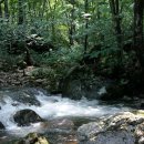 자연향기민박 이미지