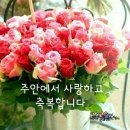보리떡과물고기