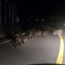 별앤별펜션 이미지