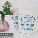 티어리베 이미지