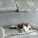 빛고을 동물의료센터 이미지