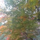 사랑가든 이미지