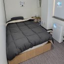 송파다이아튼튼의원 | 송파다이아튼튼의원 1인 입원실 리모델링을 진행했습니다.