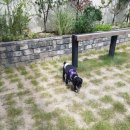 대복세차장 이미지