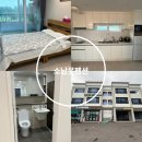 소남못펜션 | 제주 안덕면 펜션 소남못펜션 숙박후기 알려드립니다