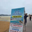 걸어서 무인도 도착! 강원도 고성 가볼만한곳 고성 송지호 바다하늘길 후기