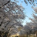 과천-과천-과천1호 | [과천] 서울대공원, 스카이리프트 후기, 아이와 함께 타기 좋은 과천 나들이 코스🎡