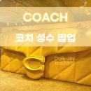 COACH 코치 성수 팝업 예약 없이 가서 태비백 보고 왔어요