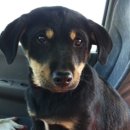 현순농장 이미지