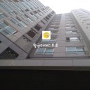 황금마에스트로공인중개사사무소 이미지