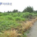 서귀포 안덕면 덕수리 평화로 인근 토지 7,200평 - 제주도 부동산 경매 제주 부동산 이미지