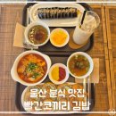 종가집마님김밥 | 울산 ㅣ 김밥 맛집 빨간 코끼리 김밥 추천 튀김 김밥과 떡볶이 후기
