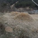 자산동205 이미지