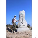 10월9일 금요무박 영남알프스 억새군락(간월-신불-영축) 이미지