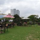 바다가 보이는 풍경 이미지