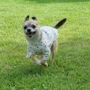 삼돈농장 이미지