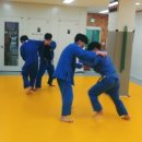 성남 중앙 유도체육관 이미지