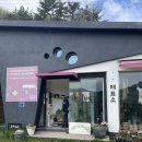 남해,섬들 | 아기랑 남해 반값여행후기-4) 유럽식 정원 섬이정원, 유채꽃 가득 남해 다랭이마을