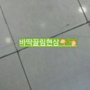 조재진 동물병원 이미지