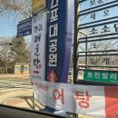 [경주] 향림매운탕 - 어탕 해장국, 어탕국수, 어탕 수제비
