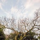 인성리마을회관 이미지