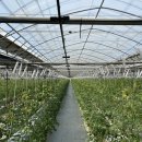 김인호 농장 이미지