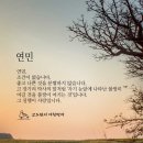 연민 이미지