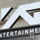 YG엔터테인먼트 카카오 검색결과