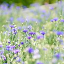 햇살 좋은날 이미지