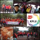 우체국 노동조합 이미지