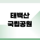 재난안전CCTV | 태백산 국립공원 날씨 CCTV 실시간 보러가기
