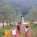 별하 - 부평구 산곡동 | 별하