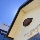 스테이토성당 | 2025년 여름휴가(1), 강원도 오랜만