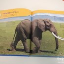 코끼리자연어린이집 이미지