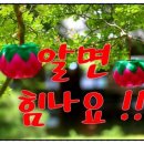 부동산 생활법률 이미지