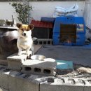 대평경로당 이미지