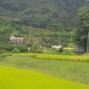 단감농원식당 - 칠곡군 | 단감농원식당