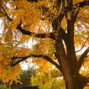 활성동 밀양시국궁장 이미지