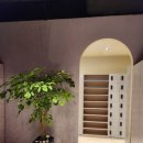 와이투짐 야탑역점 이미지